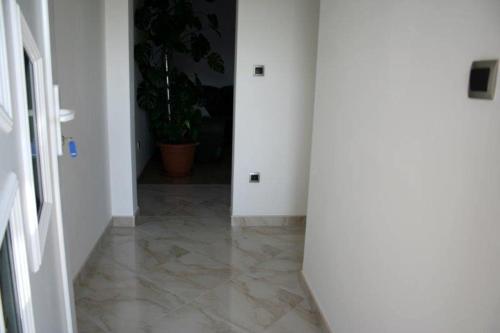Lucija Apartments photo
