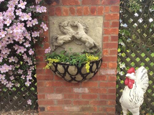 Broccoli Bottom, Oakham (zdjęcie 8)