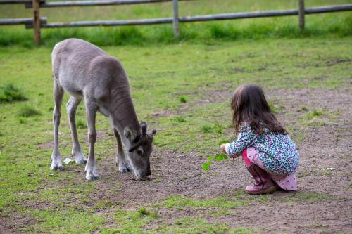 Ounasvaaran Lakituvat Chalets - image 4