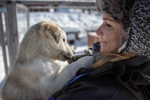 Ounasvaaran Lakituvat Chalets - image 8