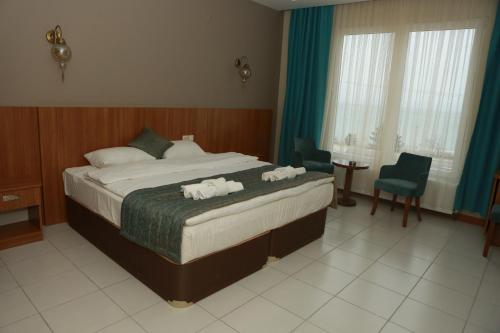 Fatsa Safi̇r Otel