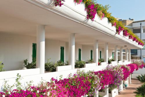 Corvino Resort - image 12