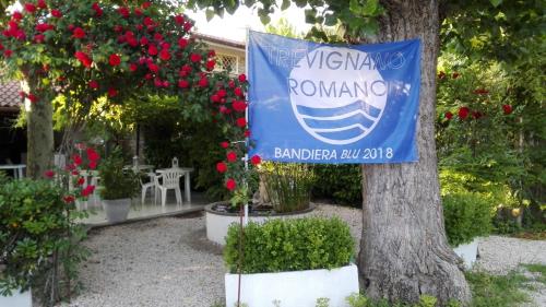 Camping Smeraldo - image 10
