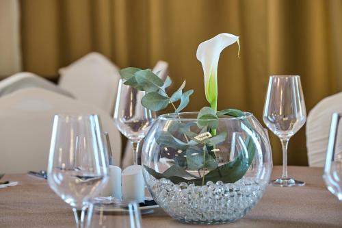 ibis Styles Arad - image 6