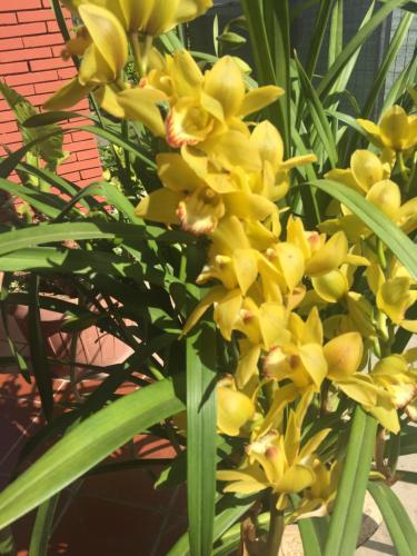 Relais Villa Italia - image 14