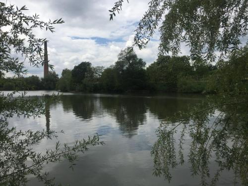 Эко отель Золотая подкова, Sharhorod (Foto 10)