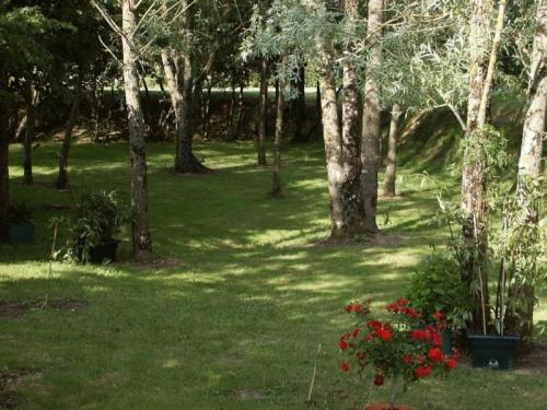 Gîte Verneuil-sur-Indre, 2 pièces, 2 personnes - FR-1-381-237 cottage Châtillon-sur-Indre