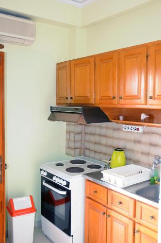Ekavi Apartments - image 4
