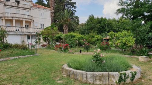 Apartment Lju on the Beach Apartment Lju on the Beach