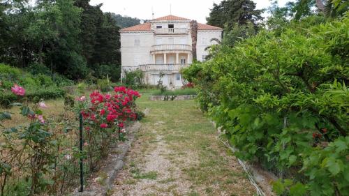 Apartment Lju on the Beach Apartment Lju on the Beach