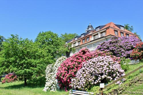 Ferienwohnung Natur und Kunst - Apartment - Dresden