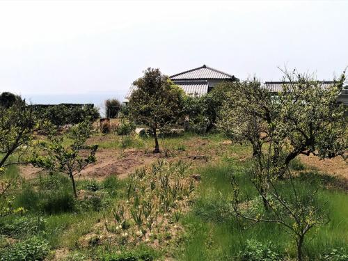 Setouchi Guest House Taiyo and Umi