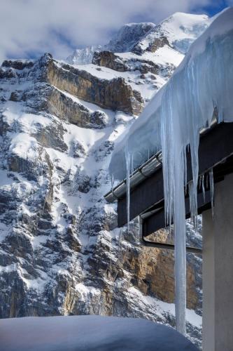 Eiger Mürren Swiss Quality Hotel - image 2
