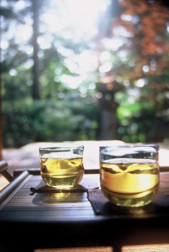 Japanese-Style Executive Room with Dinning Room with Private Open-Air Bath