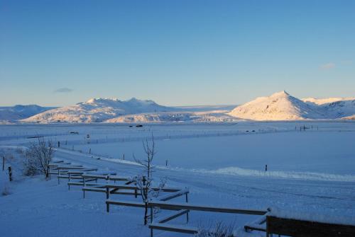 Brunnholl Country Guesthouse - Höfn