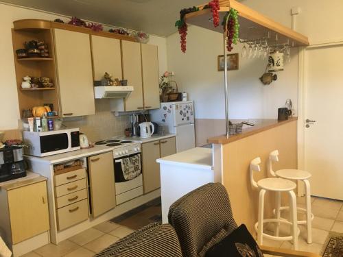 Ylläs Foxy burrow 4-Star Single Room exterior