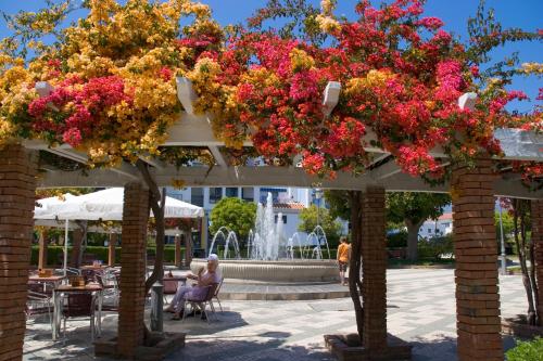 Apartamentos Manuel Martin - image 13