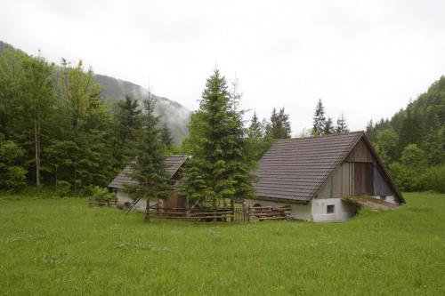 Hiska Katja Valley Voje