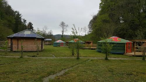 Glan Mydyr Woodland Yurts, , West Wales