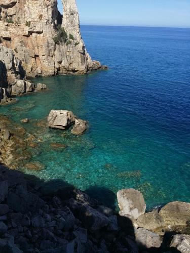 Montecool