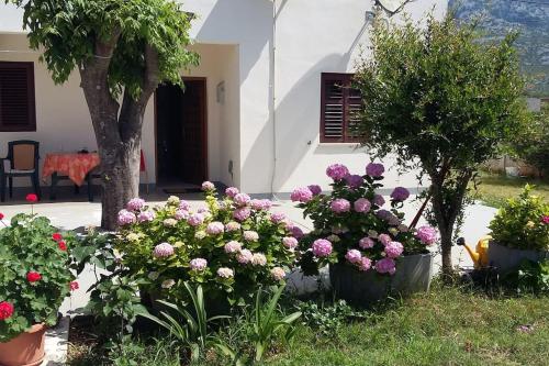  House Sara in Seline