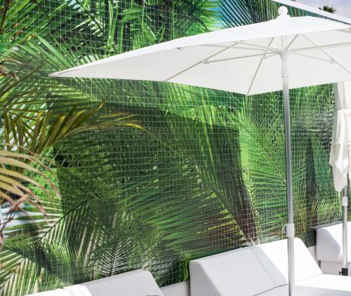 142946830 Vanilla Garden Boutique Hotel - Adults Only