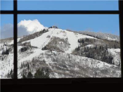 Wildhorse - First Tracks 3206 A - image 5