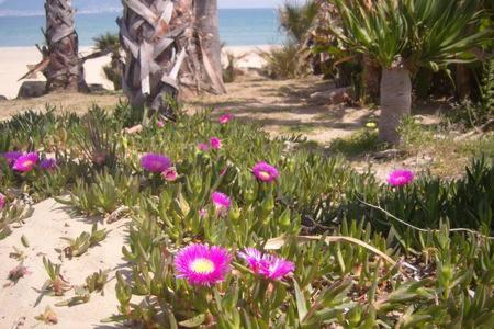 Apartamento a la Playa photo 4