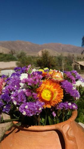 كاسا كولوريس