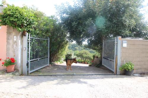  rita in Sassari