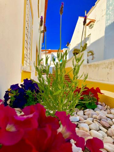  Sunset Beach House 2 in Zambujeira do Mar