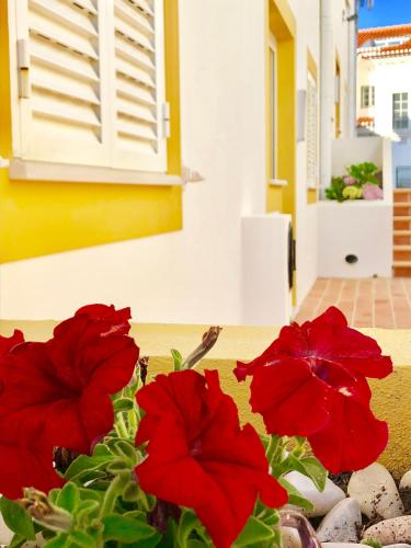  Sunset Beach House 2 in Zambujeira do Mar