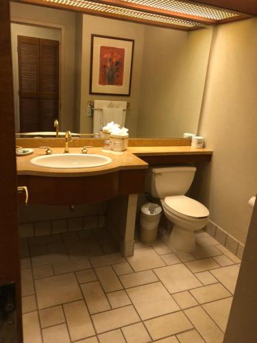 Soaring Eagle Casino Resort – Mount Pleasant, MI