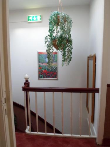Facilities, Staten Hotel in Scheveningen