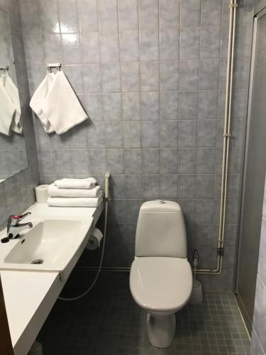 Hotel Hirvi - image 7