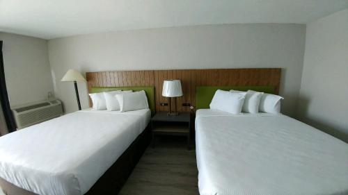 Bed, Garden City Inn in Surfside Beach