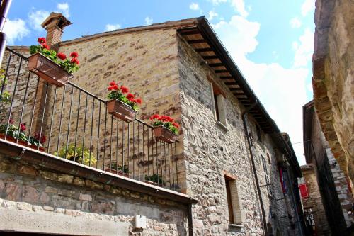  Red House in Gubbio