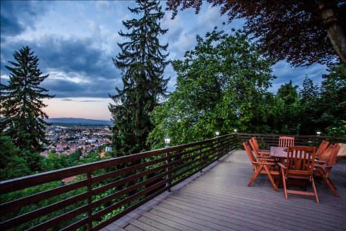 Splendor in the forest - Accommodation - Brașov