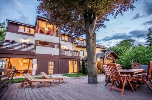 Splendor in the forest - Accommodation - Brașov