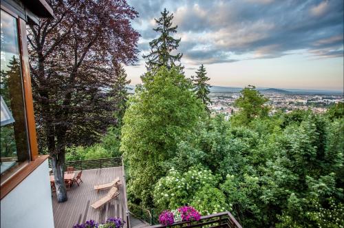 Splendor in the forest - Accommodation - Brașov