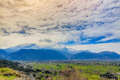 Vasilikata - image 11