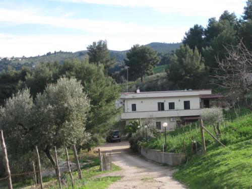 Azienda Agricola Gentile - la casa degli ulivi in Palude Mezzane