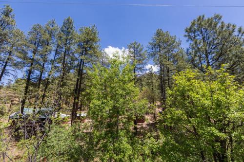 Crown King Cabins Bradshaw - image 3