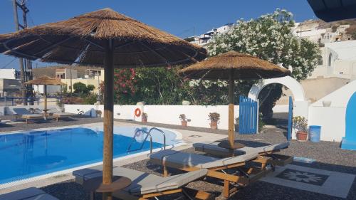 Thira's Dolphin - image 3
