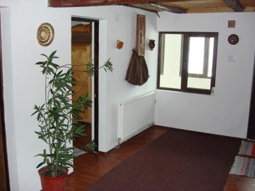 Cabana Ada 1 in Arieseni