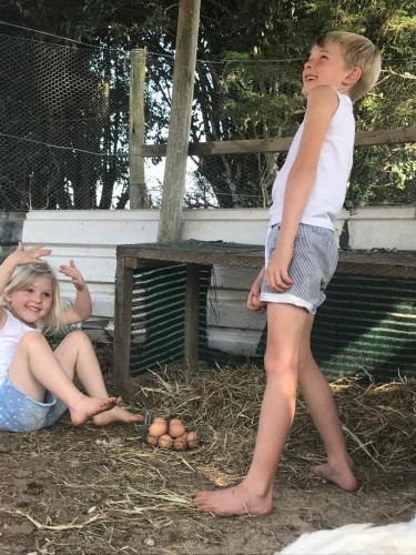 A Farm Life