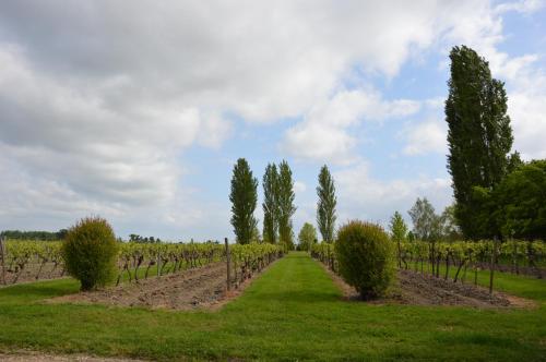 Logis Des Bessons - image 11