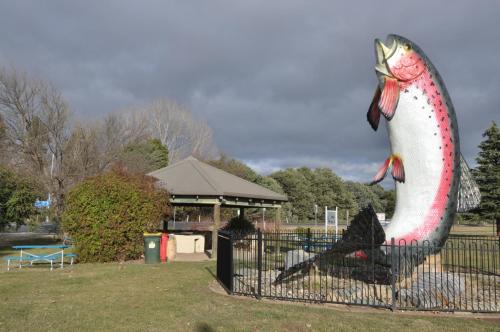 Közeli látványosságok, Selwyn Star Motel in Adaminaby