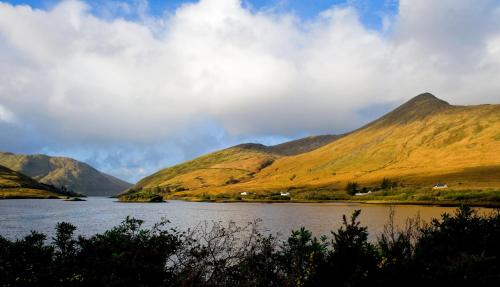 Wild Atlantic Hostel