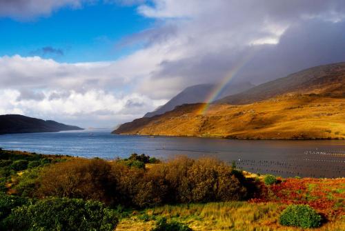 Wild Atlantic Hostel